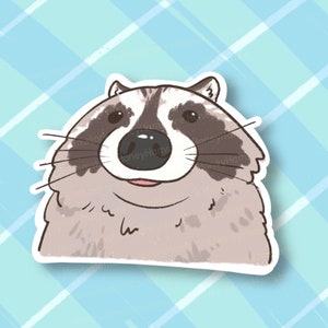 Raccoon Close Up | Funny Sticker | Raccoon Sticker | Gifts under 10 | Water Resistant Sticker Decal