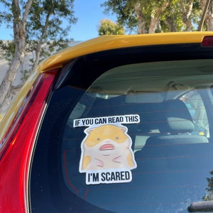 NEW [Weather & Water Proof] Cute Hamster Meme Bumper Sticker | Nervous Anxious | Student Driver | New Driver | Car Decal | Funny Car Sticker image 8