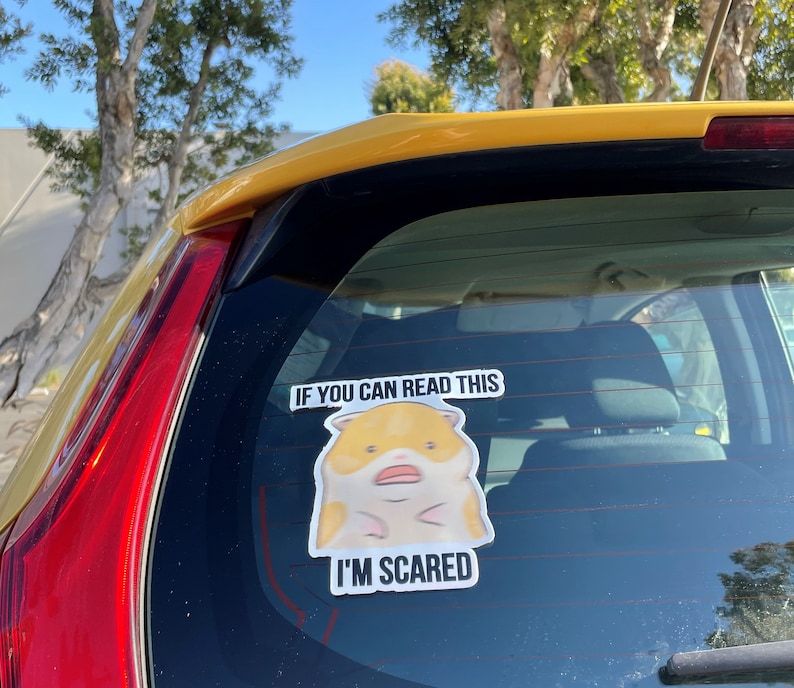 NEW [Weather & Water Proof] Cute Hamster Meme Bumper Sticker | Nervous Anxious | Student Driver | New Driver | Car Decal | Funny Car Sticker image 8
