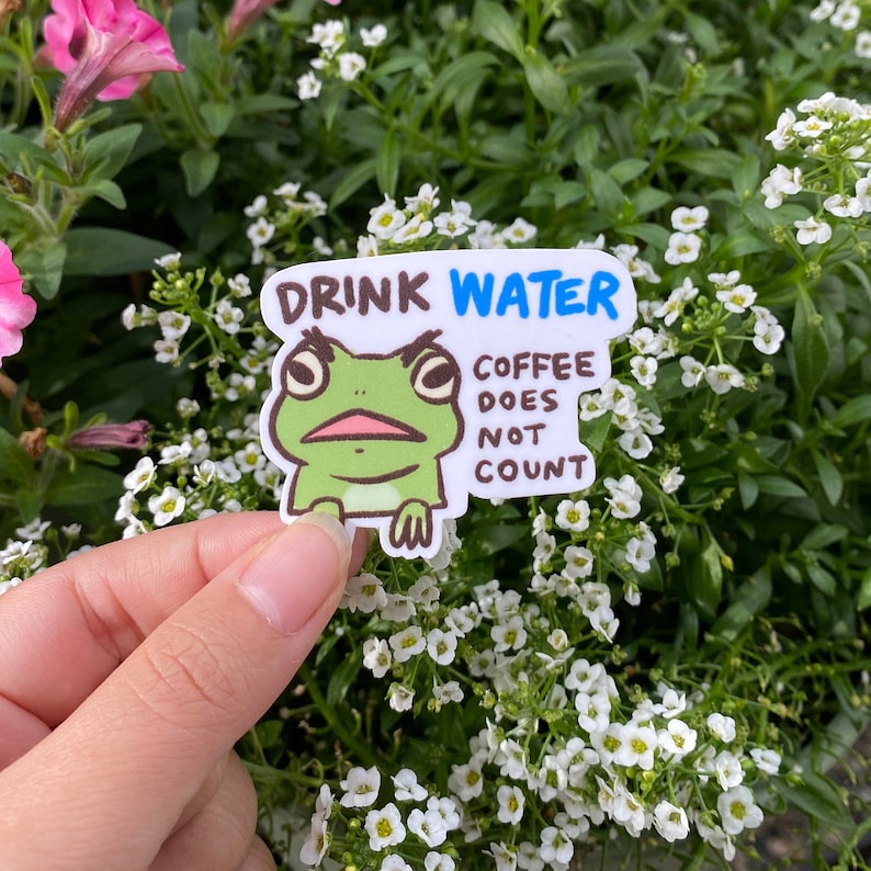 Frog Drink Water | Funny Sticker | Froggy Sticker | Gifts Under 10 ...