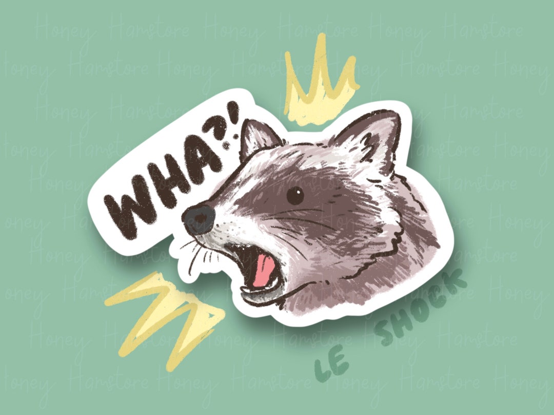 Wha Sticker Wha?! Raccoon | Funny Sticker | Gifts Under 10 | Water Resistant ...