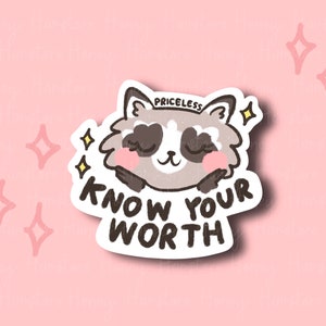 May include: A sticker with a cartoon raccoon with closed eyes and the text "PRICELESS" above it and "KNOW YOUR WORTH" below it. The raccoon has pink cheeks and is surrounded by yellow stars.