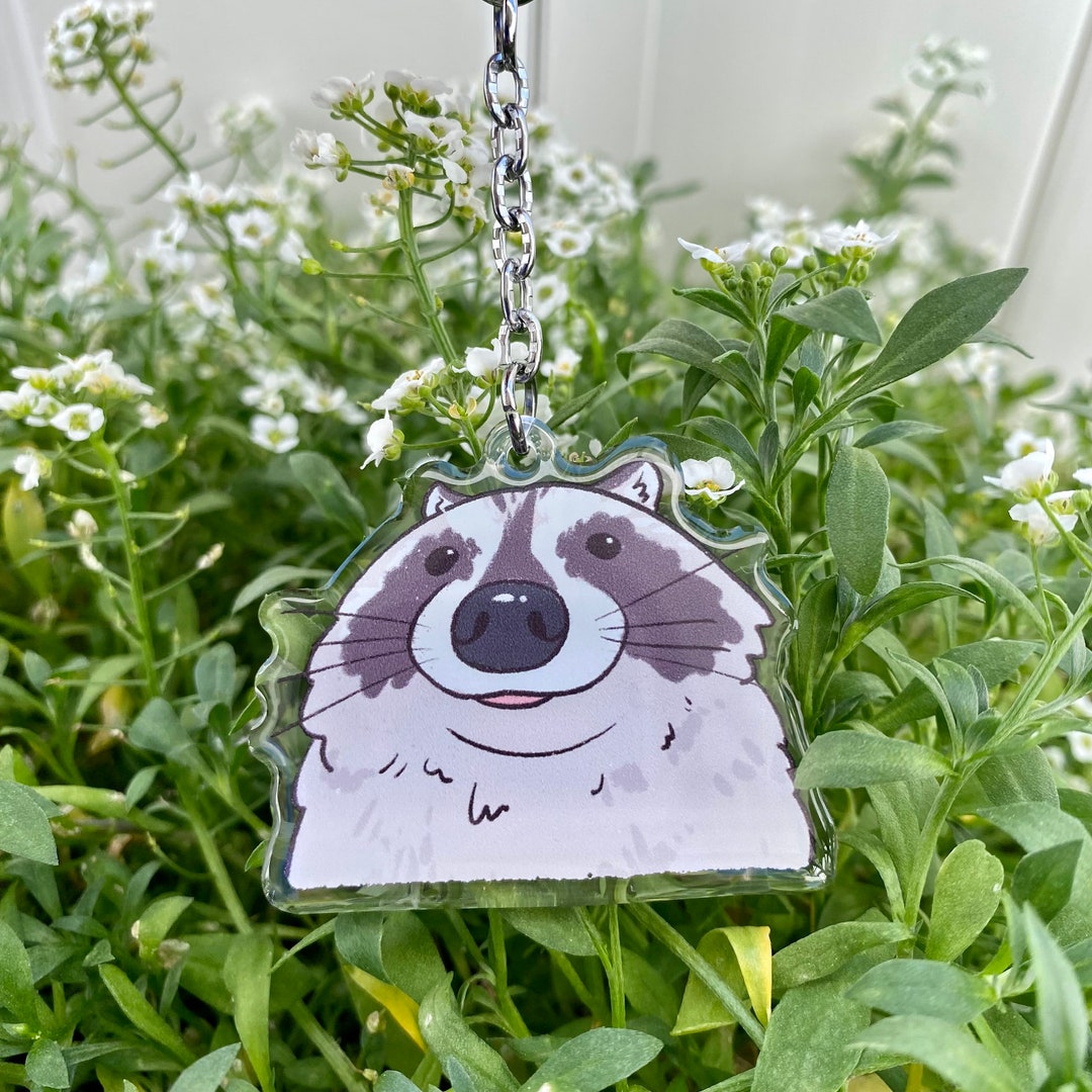 Pvc Raccoon Keychain Raccoon Close up Clear Acrylic Keychain | Cartoon Illustration Art ...