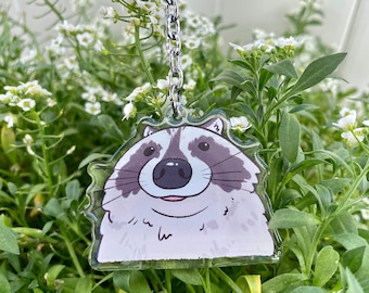 Raccoon Close Up Clear Acrylic Keychain | Cartoon Illustration Art Style Double-Sided Epoxy Charm | Cute Kawaii Funny | Gift For Her For Him
