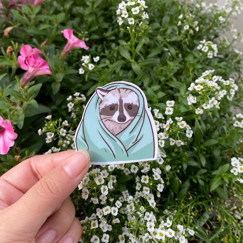 Little Sad Raccon Raccoon Cold Blanket Sad Lonely Face | Funny Sticker | Raccoon Sticker ...