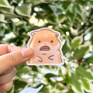 Hamster Scared/Scream | Funny Cute Acrylic Magnet | Gifts Under 10 | Novelty Accessory Joke Present | For Refrigerator Lockers File Cabinets