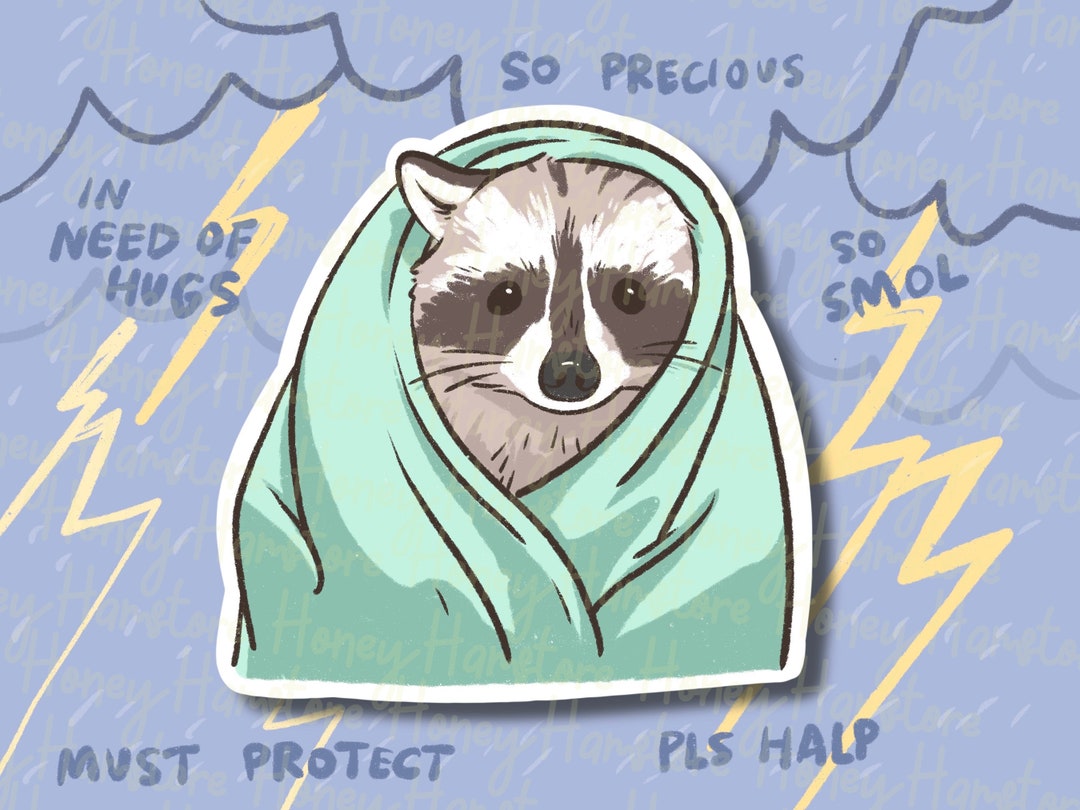 Little Sad Raccon Raccoon Cold Blanket Sad Lonely Face | Funny Sticker | Raccoon Sticker ...
