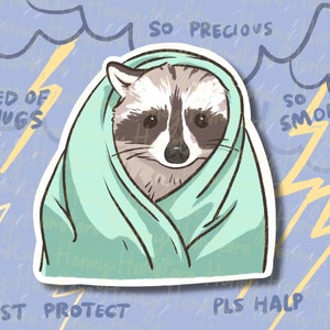 Raccoon Cold Blanket Sad Lonely Face | Funny Sticker | Raccoon Sticker | Gifts under 5 | Water Resistant Sticker Decal