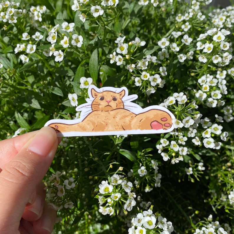 Cat Meme Sticker Set of 5 | Series 2 | Funny Sticker | Gifts under 10 ...