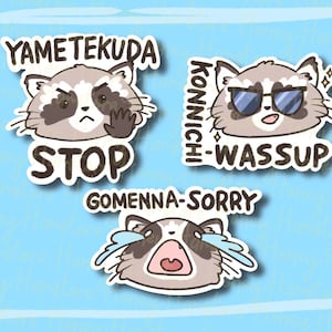 Raccoon Japanese English Puns | Funny Sticker | Raccoon Sticker | Gifts under 5 | Water Resistant Sticker Decal | Meme Sticker