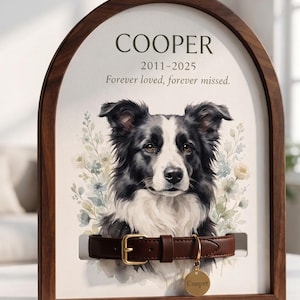 Op de afbeelding: Een gedenkplaat in een donkerhouten boogvormige lijst met een aquarelillustratie van een zwart-witte hond. De tekst luidt COOPER, 2011-2025, en Forever loved, forever missed. Een bruine leren halsband met een gouden penning hangt in het midden.