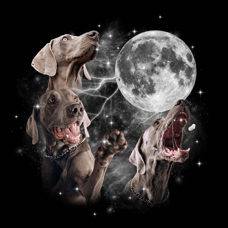 May include: Three gray Weimaraner dogs with their mouths open, looking up at a large, full moon in a dark, starry sky.