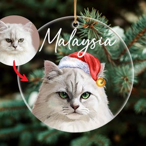 Personalized Cat Ornament Using Cat's Photo + Name,Christmas Dog Ornament,Custom Pet Portrait Hand Drawn Acrylic Ornament,Pet Memorial Gift