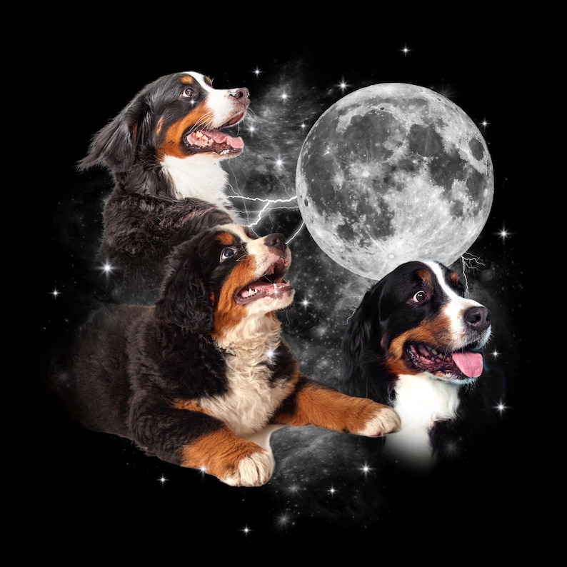 Custom Vintage Dog Shirt,Custom Pet Shirt,Custom Moon Pet Tshirt,Custom Cat Shirt 90's Tee,Funny Tee, Oversized Washed Tee image 4