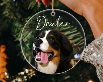 May include: A clear round Christmas ornament with a Bernese Mountain Dog with a white and black coat and brown markings. The dog is smiling and has its tongue sticking out. The ornament has the name "Dexter" written in white cursive on the front.