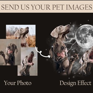 Custom Vintage Dog Shirt,Custom Pet Shirt,Custom Moon Pet Tshirt,Custom Cat Shirt 90's Tee,Funny Tee, Oversized Washed Tee image 6