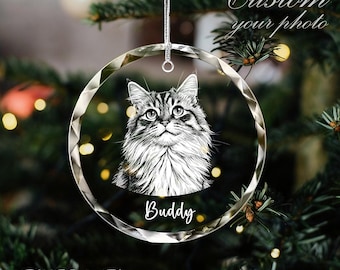 Ornement de verre personnalisé pour chat, cadeau pour amoureux des chiens, cadeau commémoratif de chat, cadeau de sympathie pour animal de compagnie, cadeau de Noël pour animal de compagnie