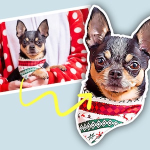 CUSTOM PET Printed CARTOON Vinyl Sticker, Pet Cartoon Photo Portrait High Quality, Picture Vinyl Decal, Your Photo To Cartoon Sticker