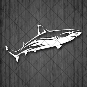 Shark car decal -  France