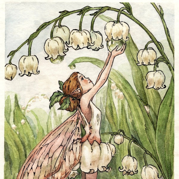 Lily of the Valley: Art Print