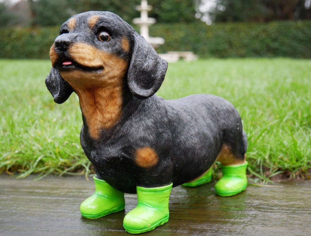 Dachshund Sausage Dog in Green Boots Etsy