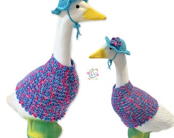 Big-23” Spring Goose Dress and Sunhat Crochet Pattern