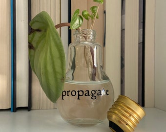 Small Lightbulb Propagation Vase