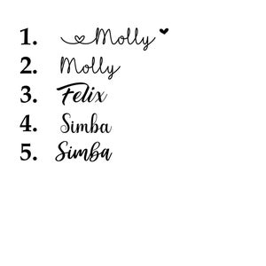 May include: A white background with five black text entries. The first entry reads "1. Molly" with a heart symbol. The second entry reads "2. Molly". The third entry reads "3. Felix". The fourth and fifth entries read "4. Simba" and "5. Simba".