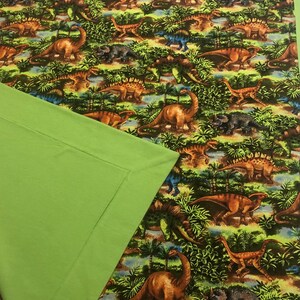 Dinosaur Blanket