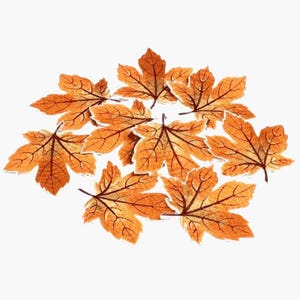 Orange Ahornblätter Gestickte Aufnäher - 4Stk