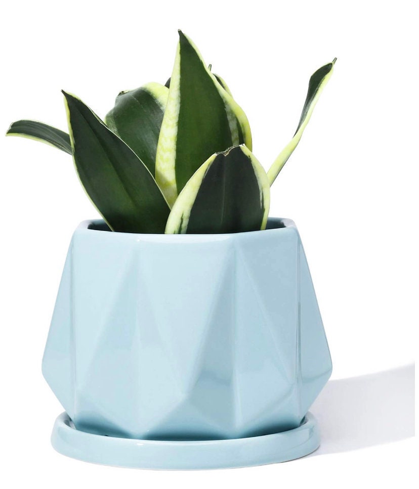 Plant Pot with Drainage hole Potey