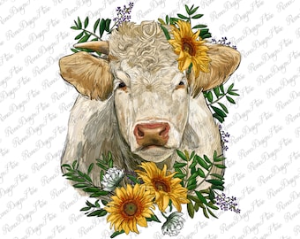 Charolais Heifer With Sunflowers Png, Akwarela Charolais Heifer Png, Charolais Cow Png, Charolais Heifer Design, Heifer Sublimation Designs