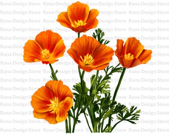 California Poppy Flower Sublimation Design, California Poppy Png, Poppy Floral Pattern, California Poppy Pattern, Poppy Png,Digital Download