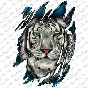 May include: A white tiger with blue eyes is shown peeking through a ripped blue and black background. The tiger's face is the main focus of the image.