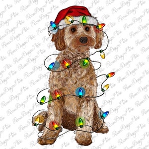 Könnte beinhalten: Ein brauner und goldener Doodle-Hund, der einen roten Weihnachtsmann-Hut trägt und von bunten Weihnachtslichtern umgeben ist.