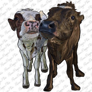 Zwei Färse Kühe Png Sublimation Design, Western Färse Png, Western Angus Png, Western Kuh Png, Western Rinder Png, Instant Download