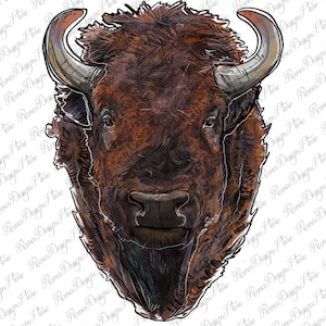 American Bison Png Sublimation, Western Bison Png, Bison Face Png, American Buffalo Png, Farm Animal Png, Instant Download