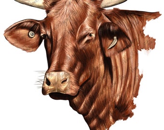 Santa gertrudis png sublimation design download, cattle png, cattle head png, farm animal png, western cow png, sublimate designs download