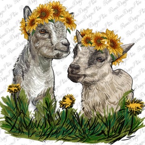Cute Baby Goats Png Sublimation Design, Baby Goats Png, Capra Png, Sunflower Png,Western Goat Png, Png Sublimation Design, Download istantaneo