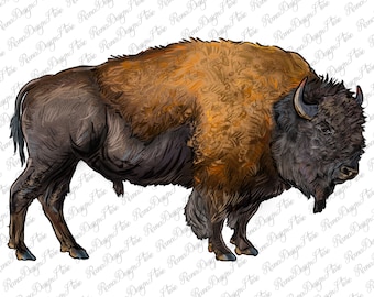 American Bison Body Png Sublimation Design, Western Bison Png, Bison Body Png, American Buffalo Png, Farm Animal Png, Instant Download
