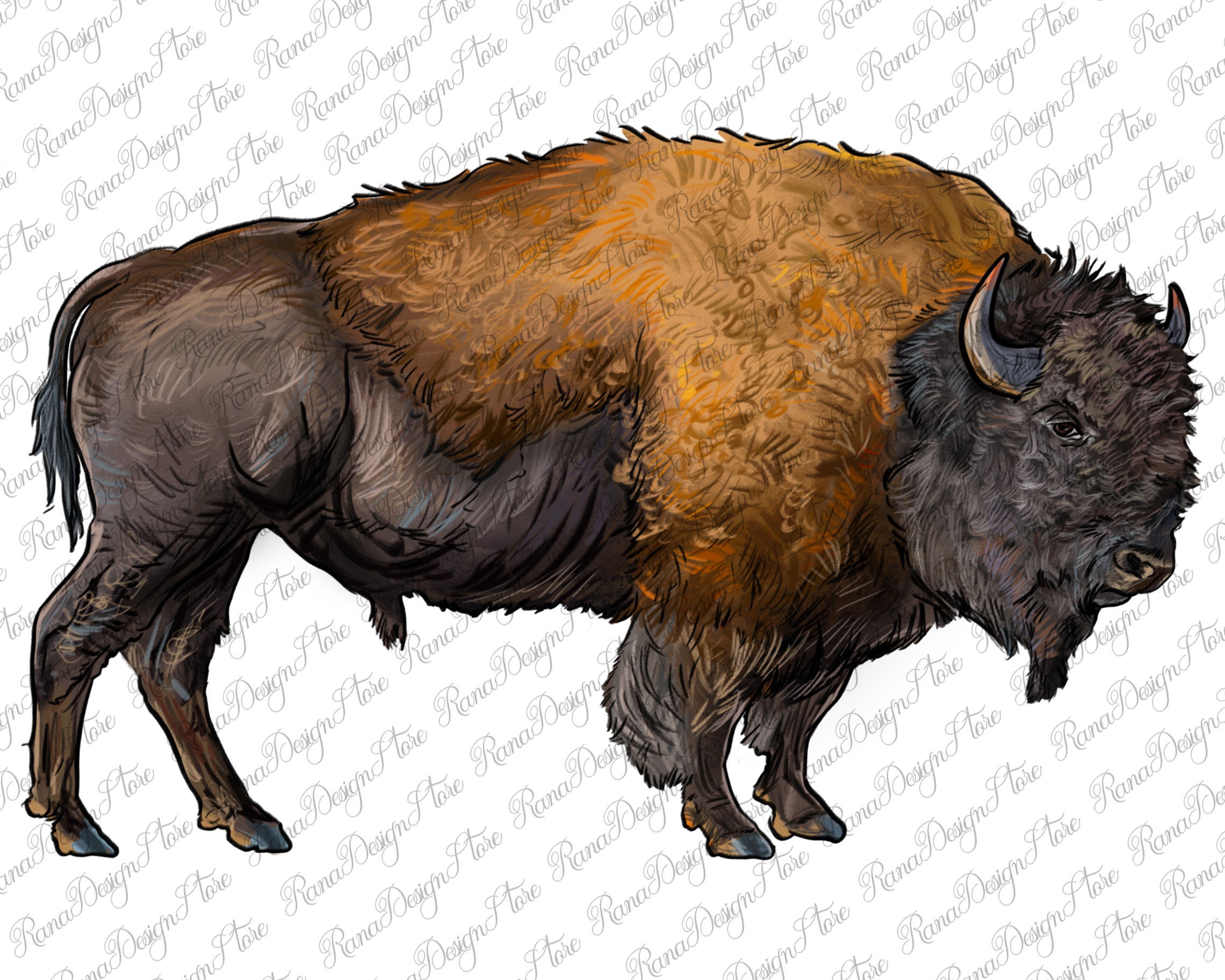 American Bison Body Png Sublimation Design Western Bison Png - Etsy