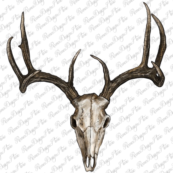 Deer Skull Png Sublimation Design, Deer Png, Deer Skull Png, Whitetail Buck Skull Png, Buck Skull Png, Handdrawing Buck Skull PNG Downloads