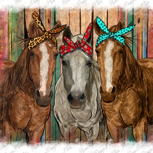 Horses With Bandanas Png Sublimation Designs, Horse Png, Bandana Png, Bandana Horse Png, Western Design Png, Serape Png, Instant Download