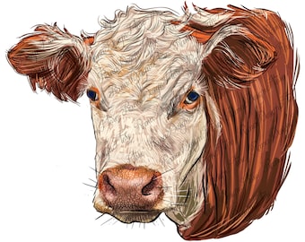 Hereford cow face png sublimate designs download, hand drawing cow png, cow png, hereford png, western design png, sublimate design download