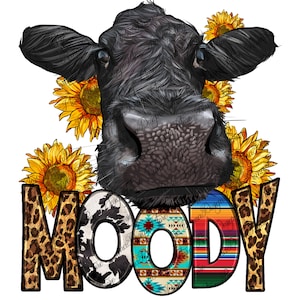 Moody cow png sublimation design download, heifer png, western cow png, sunflower design png, black cow png, sublimate designs download