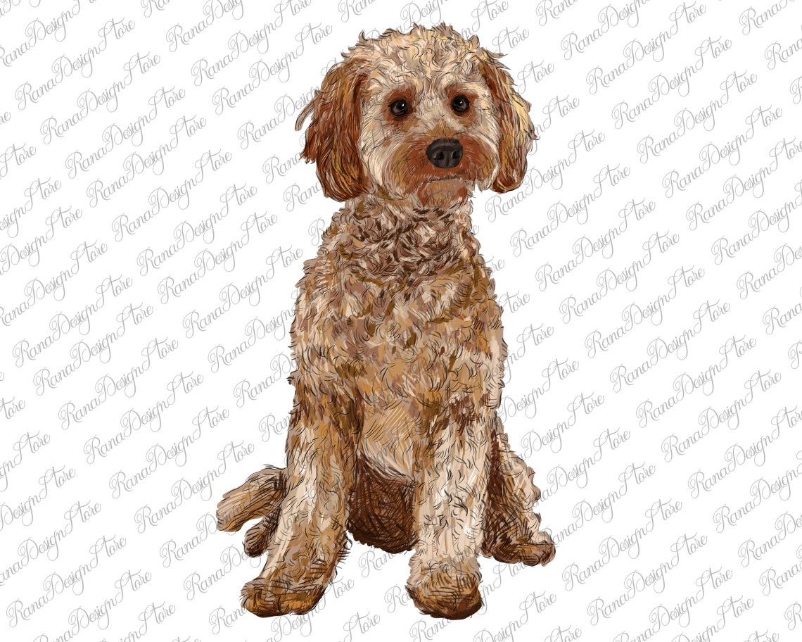 Cockapoo Portrait Png Sublimation Design Western Cockapoo - Etsy