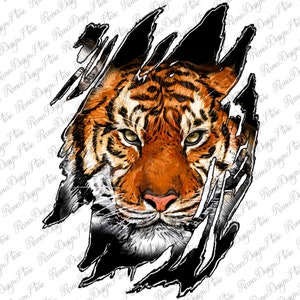 Tiger Face Scratch Shadow Png Sublimation Design,Tiger Png, Tiger Face Png,Wild Animal Png, Tiger Portrait Png, Instant Download