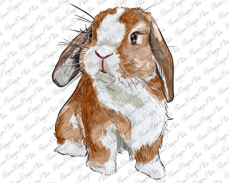 May include: A close-up of a brown and white rabbit with floppy ears. The rabbit has a white patch on its forehead and is looking directly at the viewer.