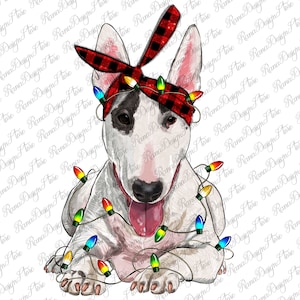 Bull Terrier With Christmas Lights Png Sublimation Design,Dog Mom Png,Western Christmas, Bull Terrier Png, Christmas Light, Instant Download