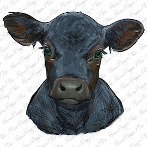 May include: A close-up portrait of a black and brown calf with large, green eyes. The calf is looking directly at the camera with a serious expression.